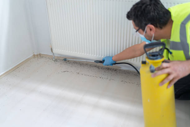 Best Flea Control Services  in Lehighton, PA